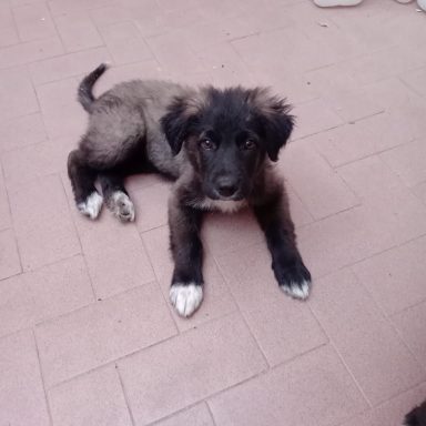 Luna