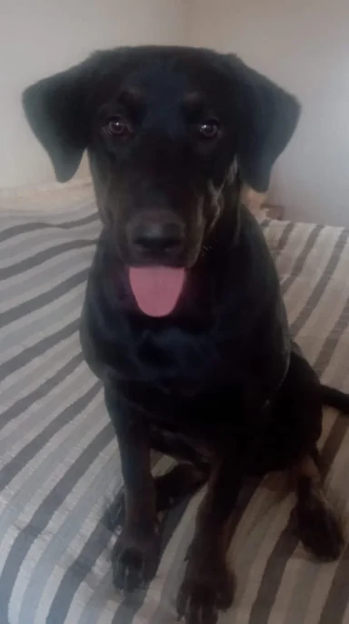 Sophie